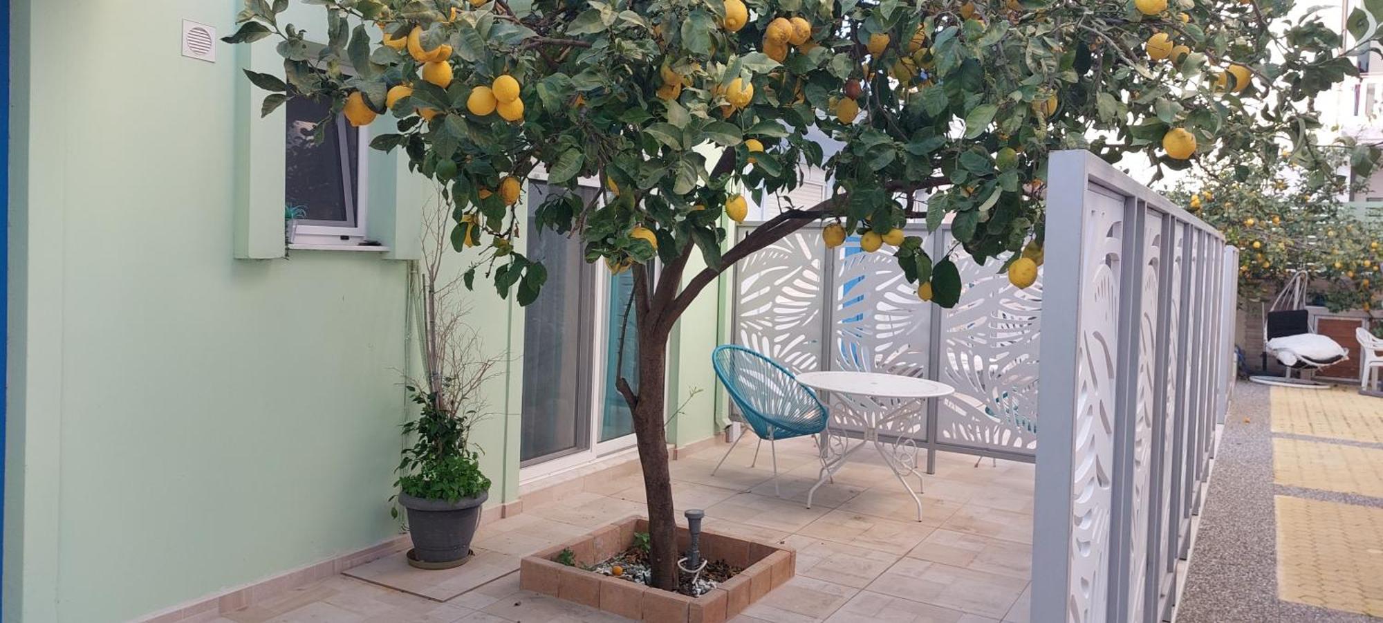 The Sky Yard Eclectic Studios Rhodes City المظهر الخارجي الصورة
